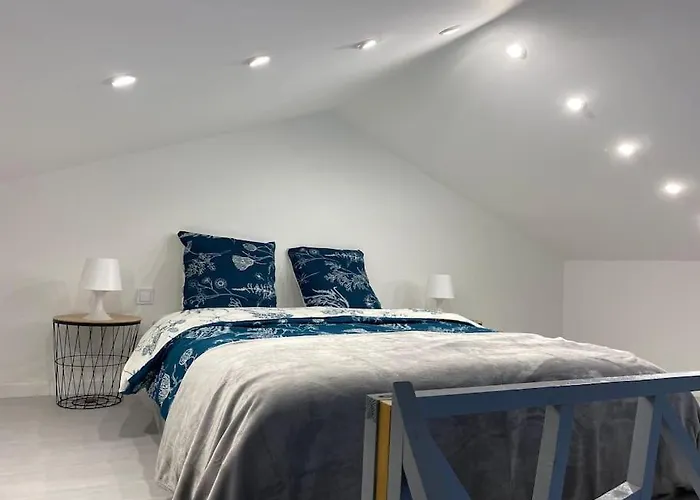 Logement Avec Mezzanine