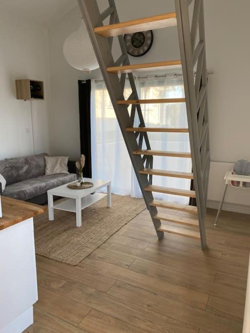 Avec Mezzanine Appartement Tremblay-en-France