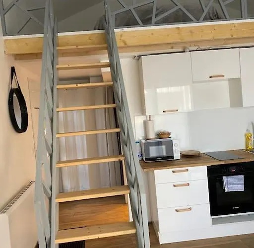 Logement Avec Mezzanine